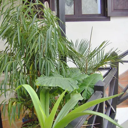 Rustikale Mit Balkon Und Meerblick Apartament