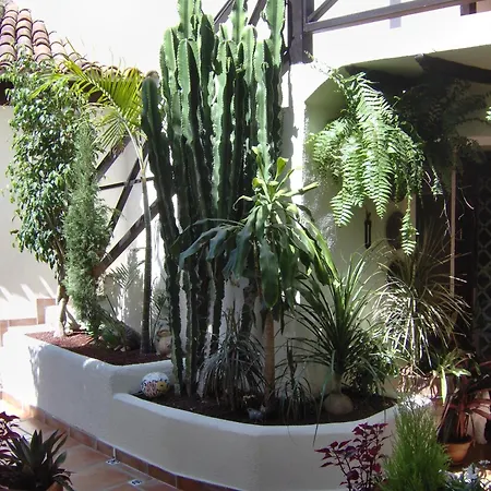 Rustikale Mit Balkon Und Meerblick Lejlighed