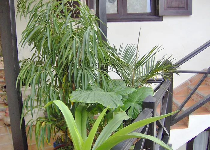 Rustikale Mit Balkon Und Meerblick Lägenhet