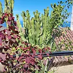 Rustikale Mit Balkon Und Meerblick